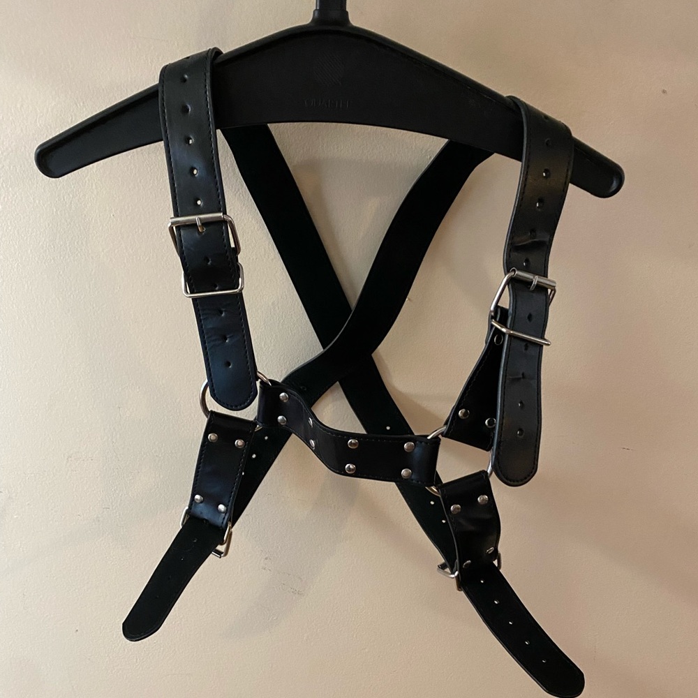 Leather Harness